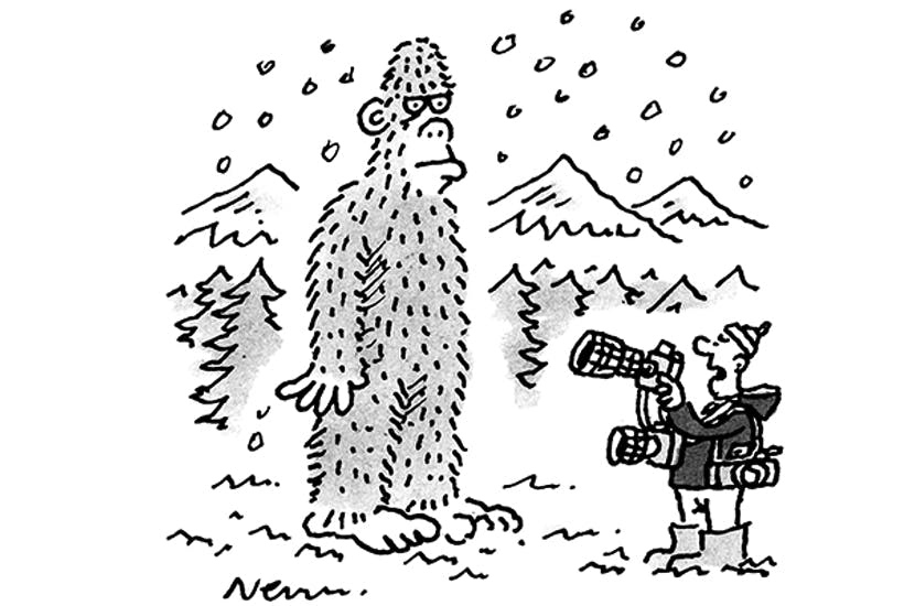 Big Foot