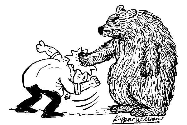 Bear 2
