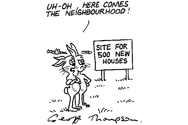 Rabbits 3