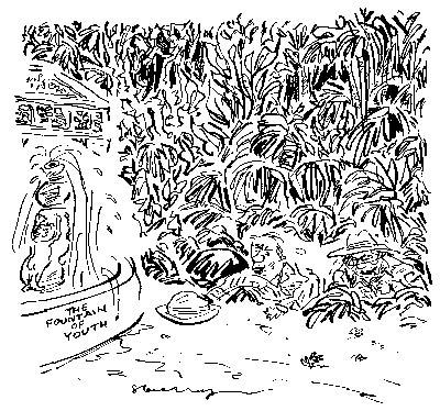 2 July 2011 Cartoon Pg 49