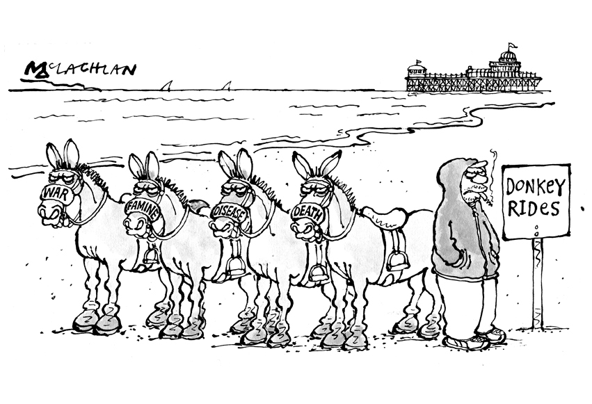 Donkey