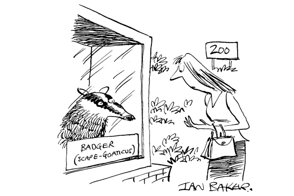 Badger