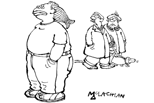 Mullet