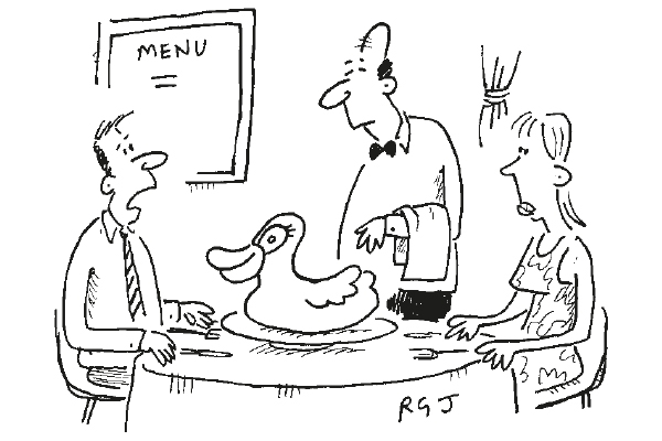 Duck