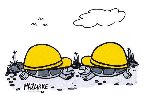 Health And Safety