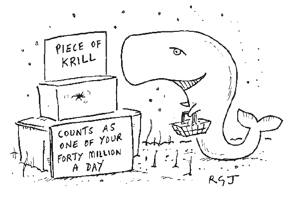 Krill