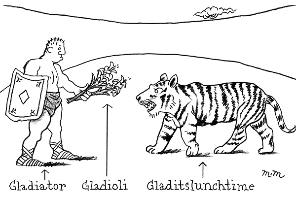 Gladiator Tiger