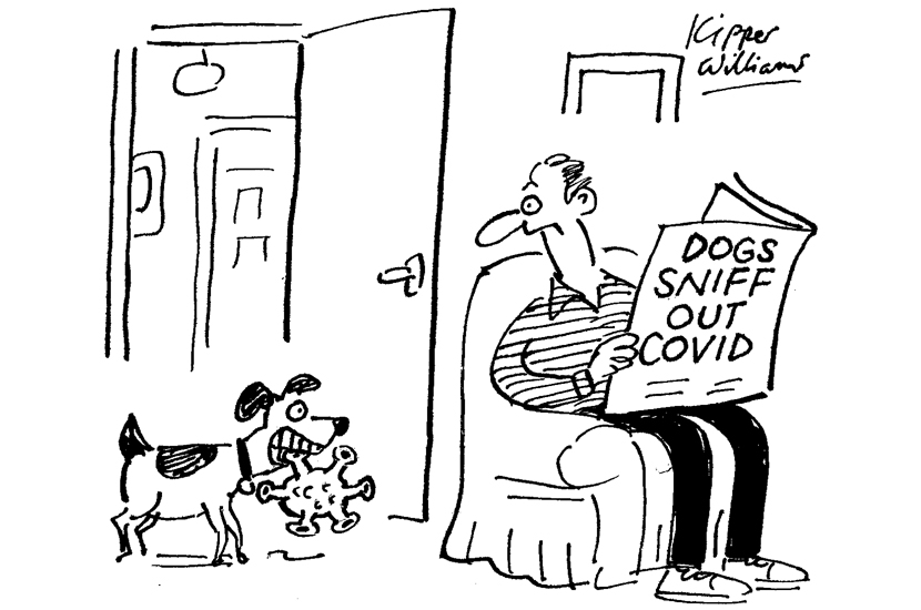 Dogs sniff out Covid