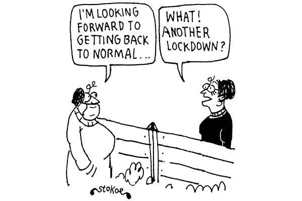 Back to normal