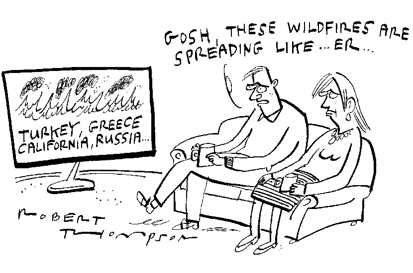 Wildfires