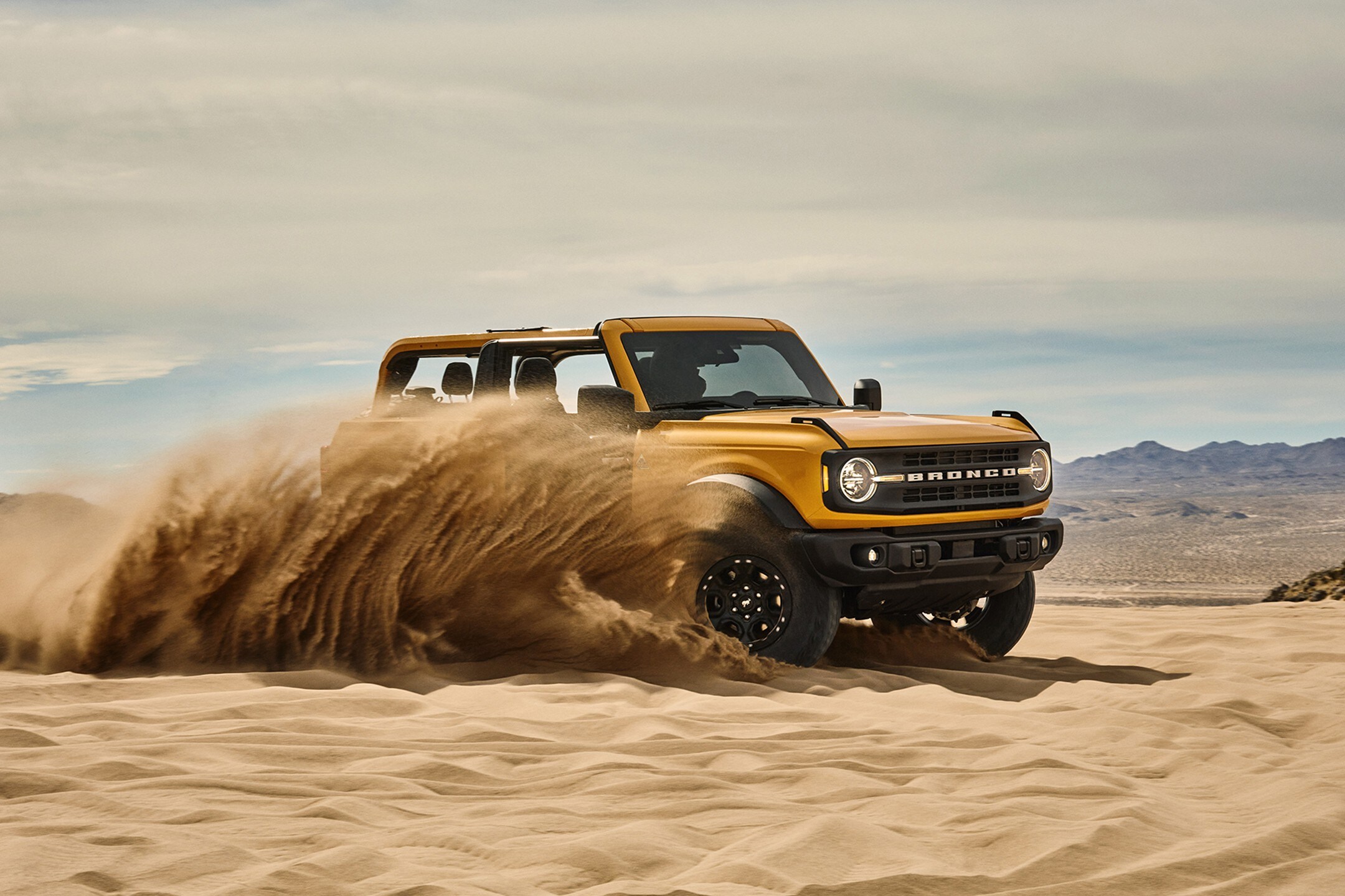Bronco.jpg
