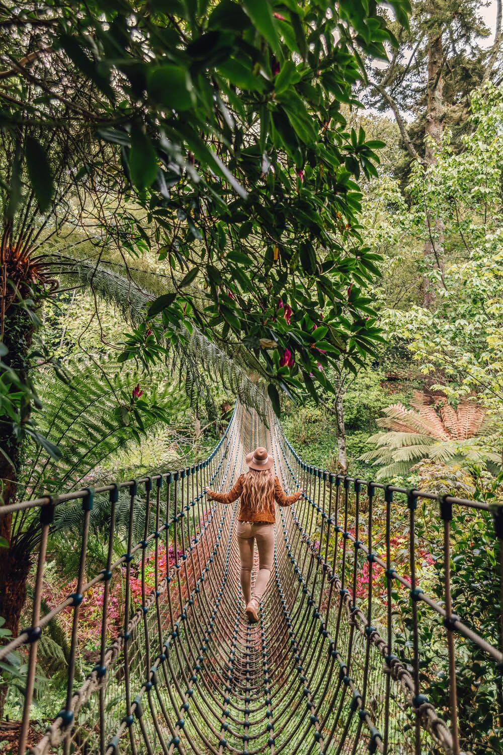 Lost_gardens_of_heligan.jpg