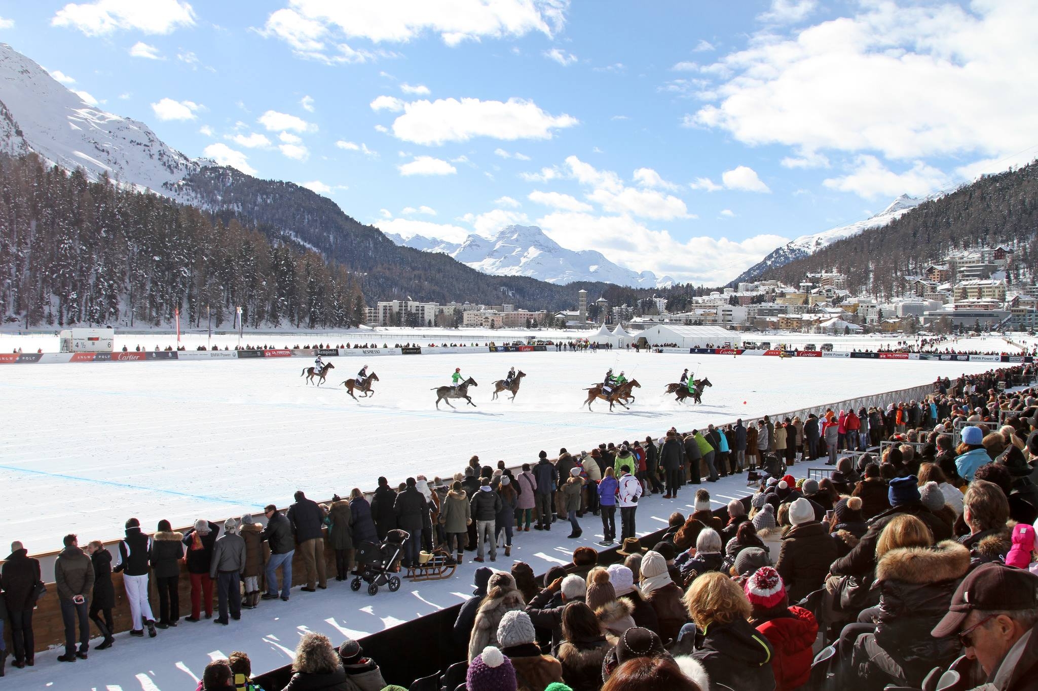 Snow_polo.jpg