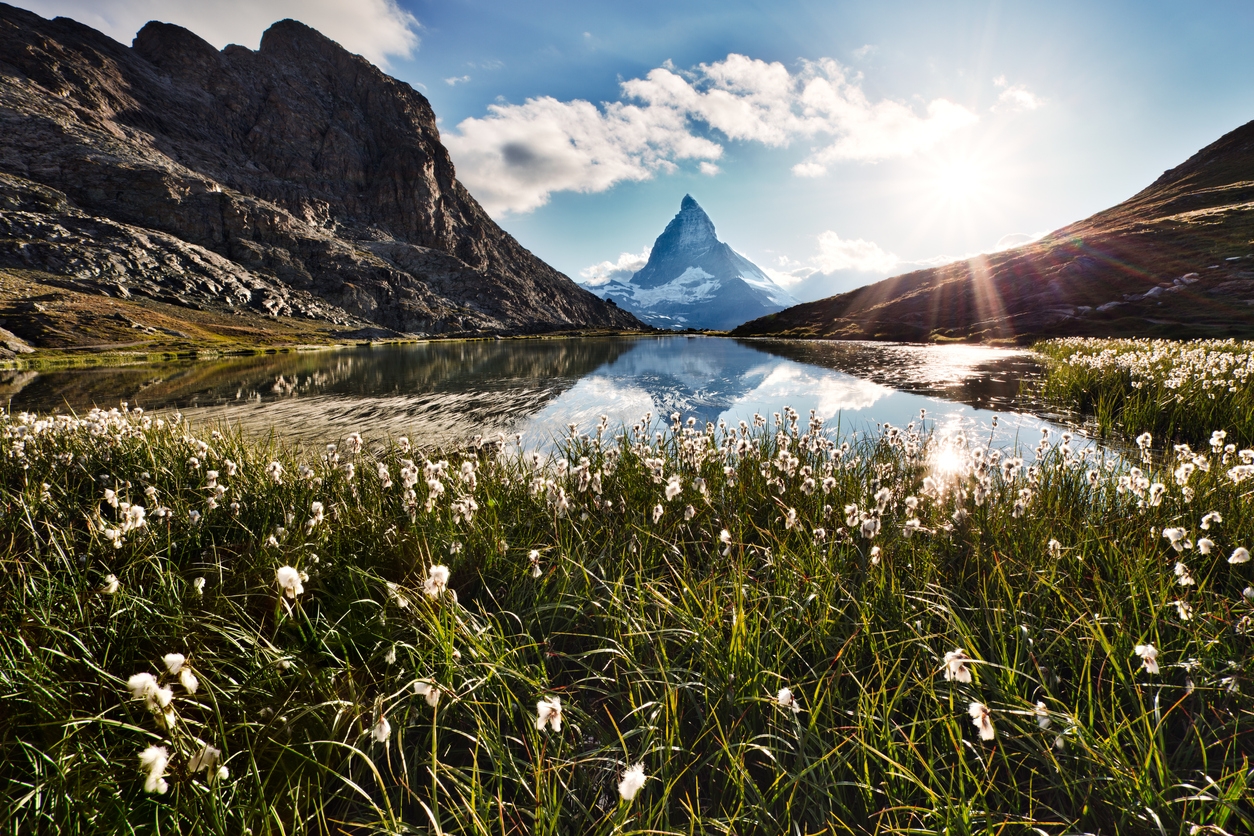 iStock-106396816.jpg
