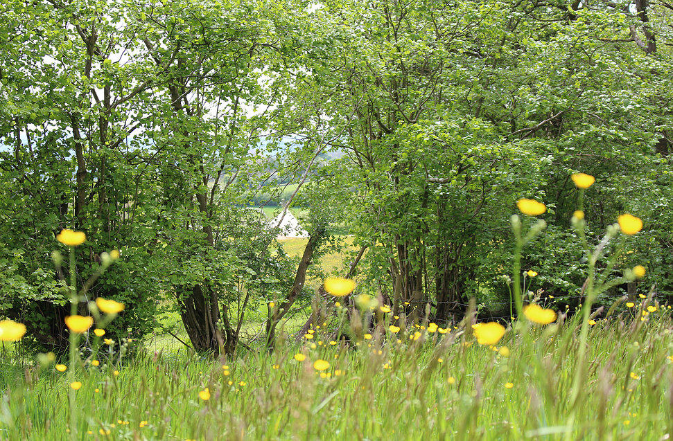 Chapel_House_Farm.jpg