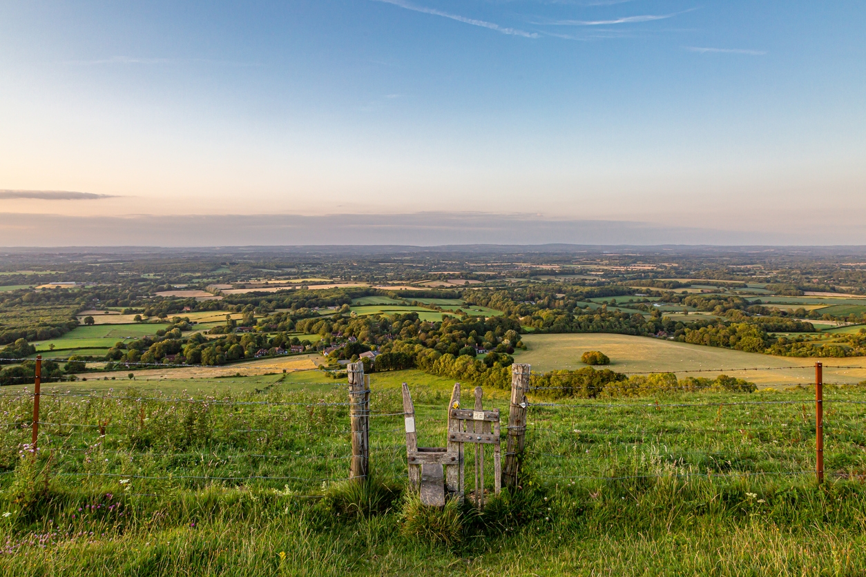 iStock-1168744456.jpg
