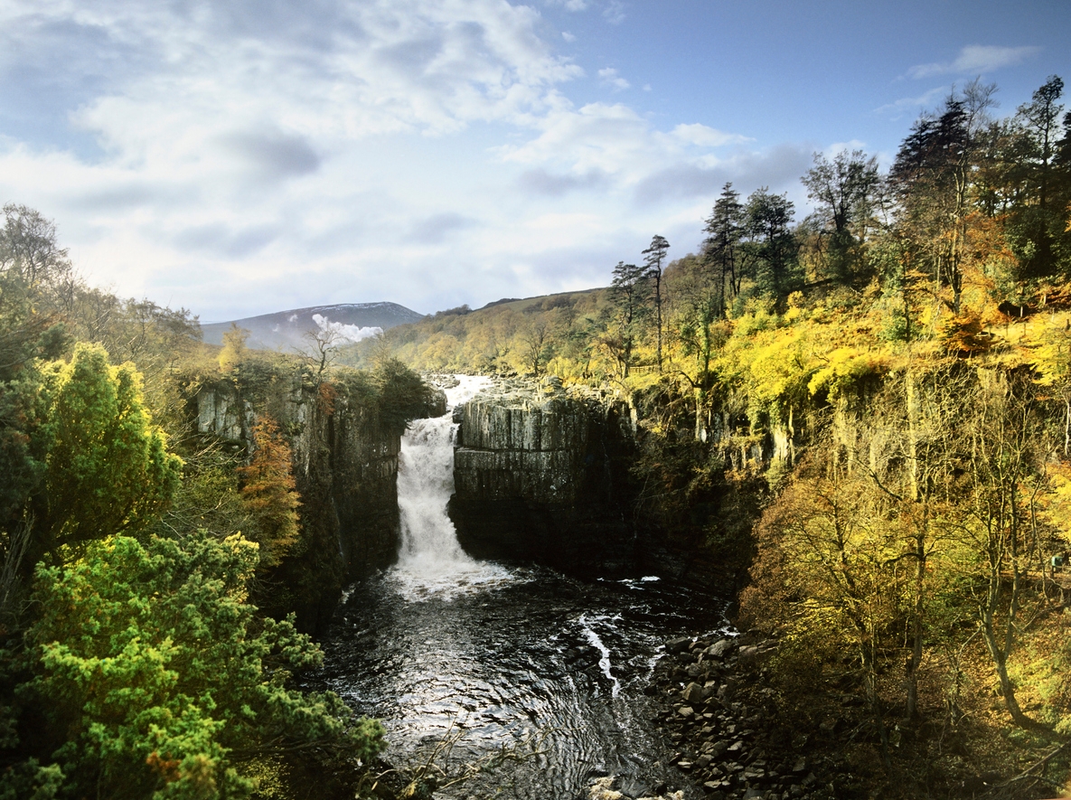 iStock-184933734.jpg