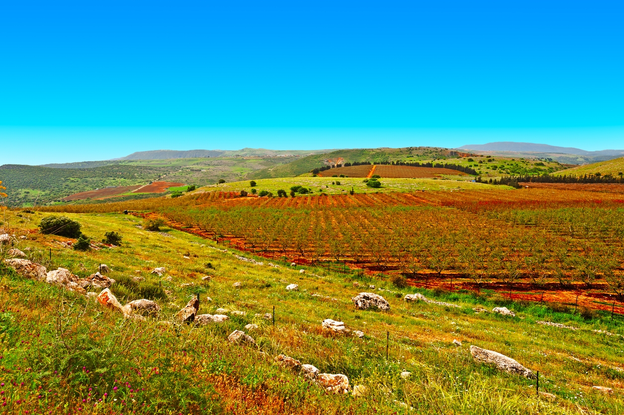 iStock-521700079.jpg