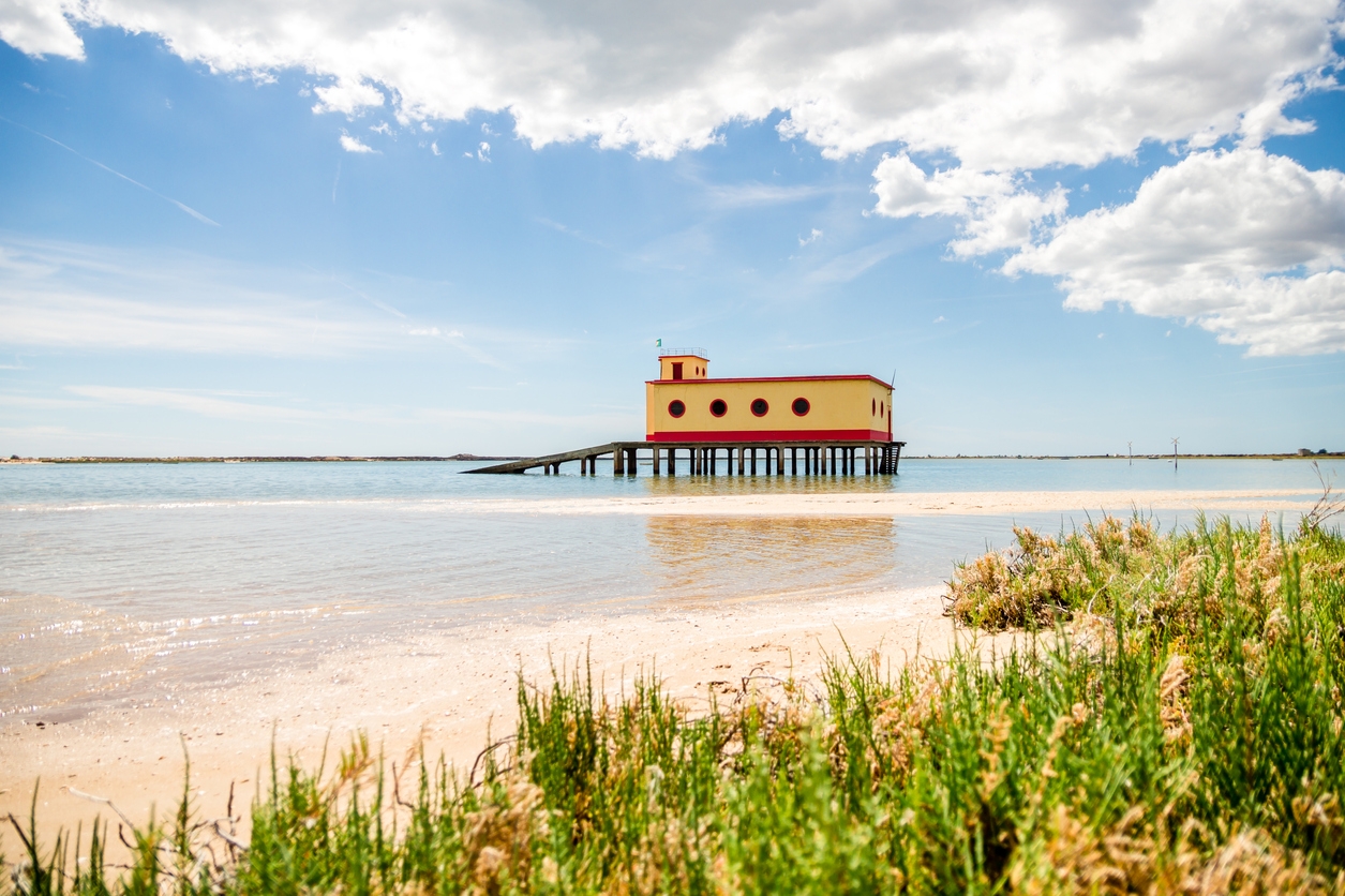 iStock-944676210.jpg