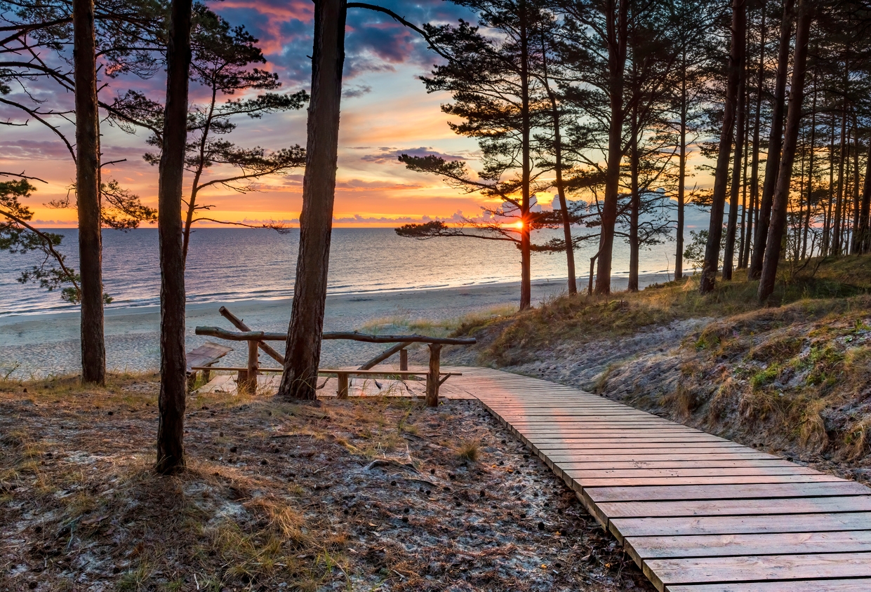 iStock-1332664913.jpg