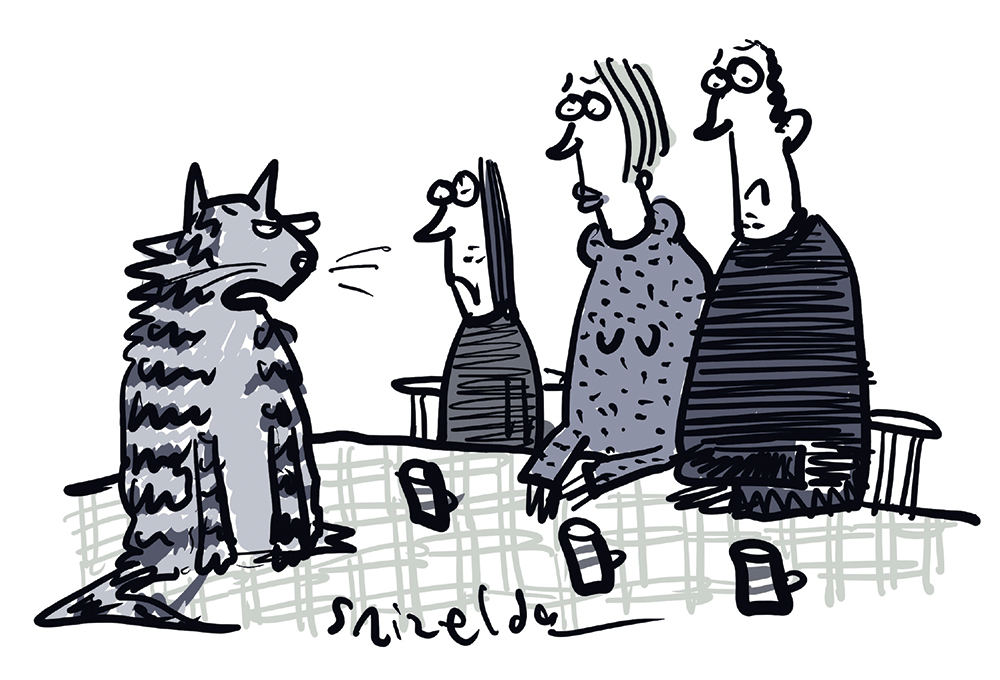 No – you can’t get a dog